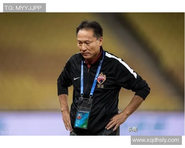 深入分析成都飞盘队防守策略与战术特点的专业解读