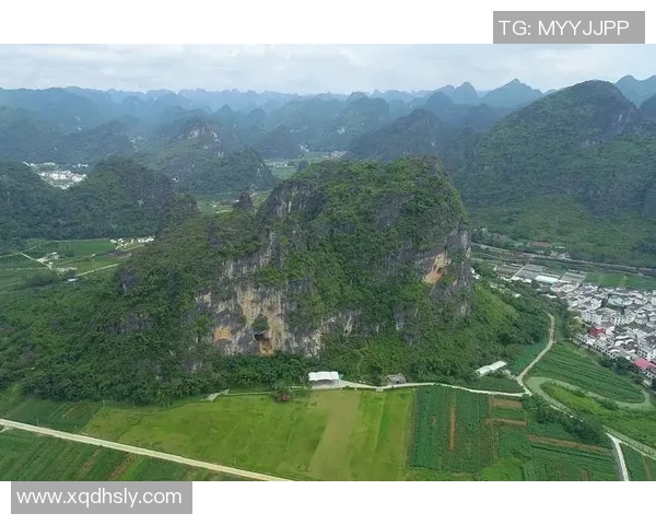 西安攀岩队创新阵地战术探索与实践的全景报道